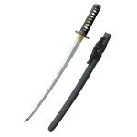 practical-plus-wakizashi-sh2118